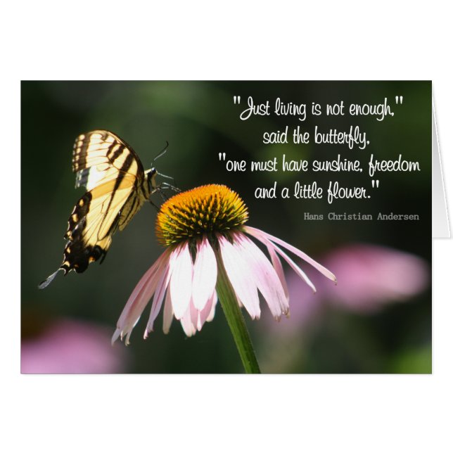 Butterfly Wisdom: Sunshine, Vrijheid, Bloem. (Voorkant Horizontaal)