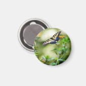 Butterfly World Magneet (Voorkant / Achterkant)