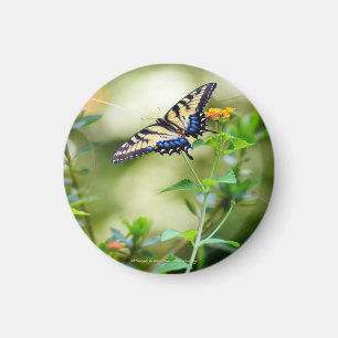 Butterfly World Magneet