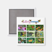 Butterfly World Magneet (Voorkant / Achterkant)