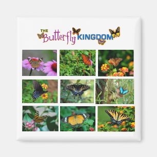 Butterfly World Magneet