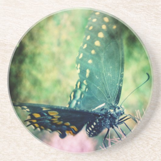 Butterfly Zandsteen Onderzetter (Voorkant)