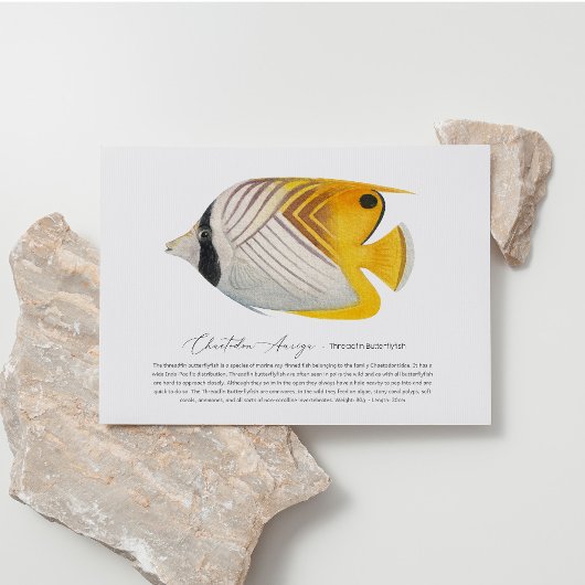 Butterflyfish Briefkaart