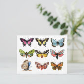 Butterfly's . briefkaart (Staand voorkant)