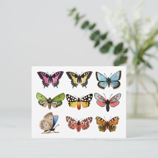 Butterfly's . briefkaart (Staand voorkant)