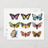 Butterfly's . briefkaart (Voorkant / Achterkant)