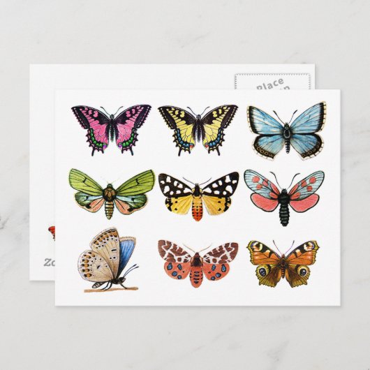 Butterfly's . briefkaart (Voorkant / Achterkant)
