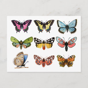 Butterfly's . briefkaart