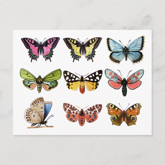 Butterfly's . briefkaart (Voorkant)