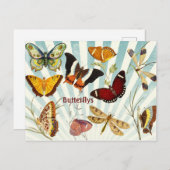 Butterflys Briefkaart (Voorkant / Achterkant)