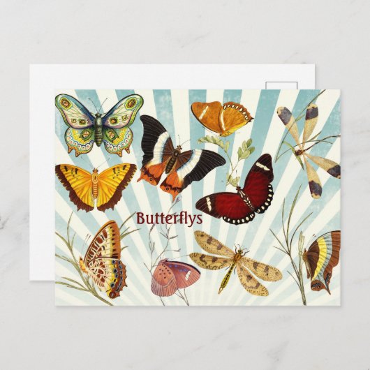 Butterflys Briefkaart (Voorkant / Achterkant)