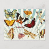 Butterflys Briefkaart (Voorkant)