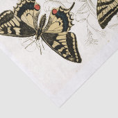  butterflys ontkoppelen  tissuepapier (Detail)