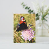 Buttermose Briefkaart (Staand voorkant)