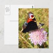 Buttermose Briefkaart (Voorkant / Achterkant)