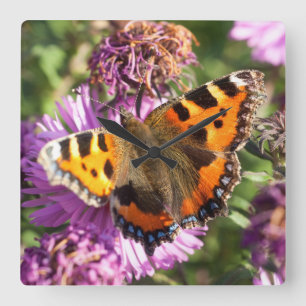 Butterred Admiral Vierkante Klok