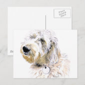 Butters the Labradole Briefkaart (Voorkant / Achterkant)