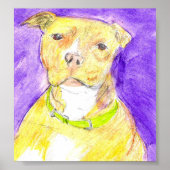 Butterscotch Poster (Voorkant)