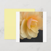 Buttery Begonia Note Card Bedankkaart (Voorkant / Achterkant)