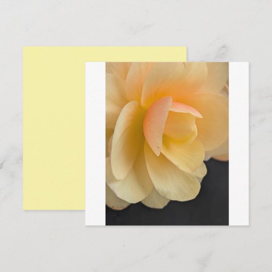 Buttery Begonia Note Card Bedankkaart (Voorkant / Achterkant)