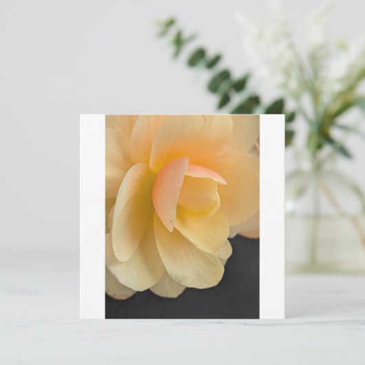 Buttery Begonia Note Card Bedankkaart (Staand voorkant)