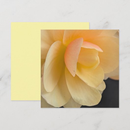 Buttery Begonia Note Card Bedankkaart (Voorkant / Achterkant)