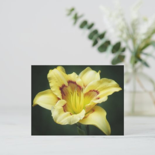 Buttery Yellow - Daylily Briefkaart (Staand voorkant)