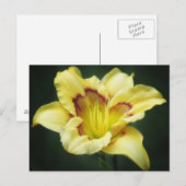 Buttery Yellow - Daylily Briefkaart (Voorkant / Achterkant)