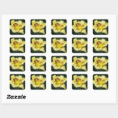 Buttery Yellow - Daylily Vierkante Sticker (Vel)