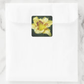 Buttery Yellow - Daylily Vierkante Sticker (Tas)