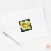 Buttery Yellow - Daylily Vierkante Sticker (Envelop)