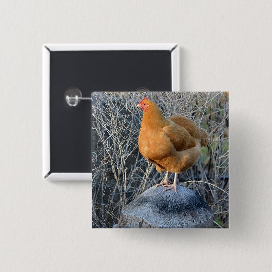 Button (Voorkant /achterkant)