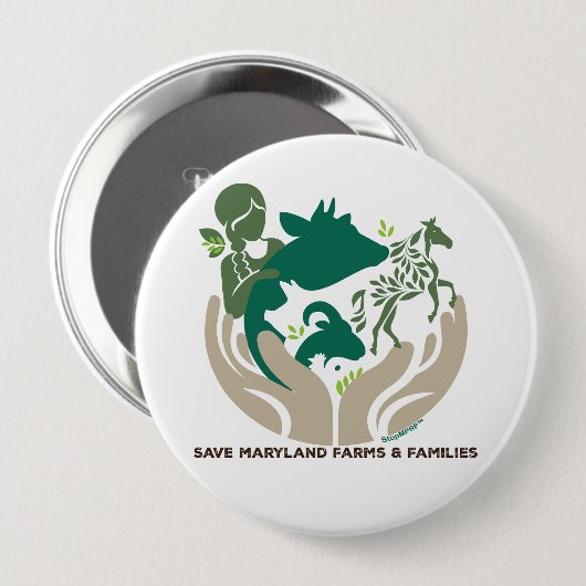 Button (Voorkant /achterkant)