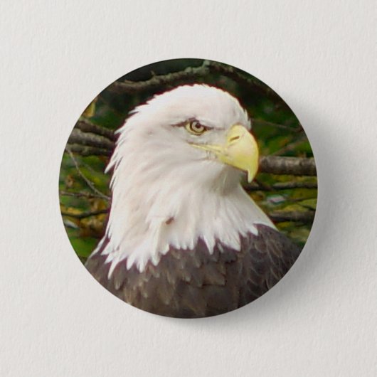 Button Amerikaanse Bald Eagle (Voorkant)