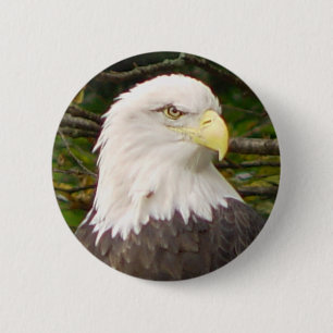 Button Amerikaanse Bald Eagle