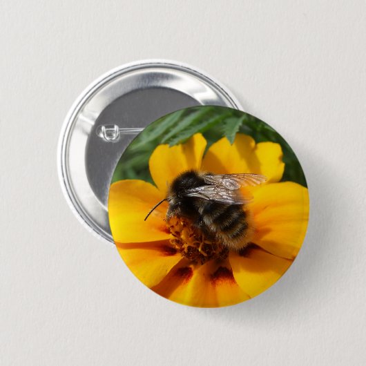 Button bij bijen (Voorkant /achterkant)