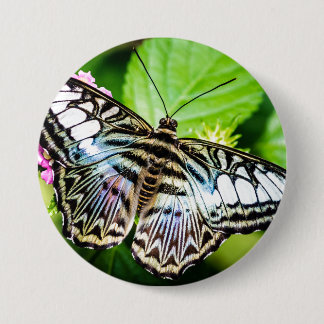 Button blauwe stekelvlinder