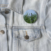 Button blauwe ventilatorbeemdarm / badge (In situ)