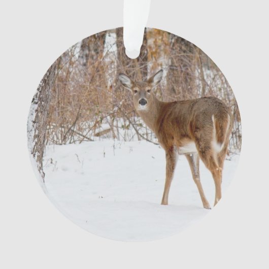 Button Buck Deer in Winter White Snowy Field Ornament (voorkant)