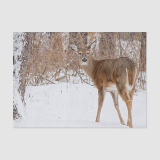 Button Buck Deer in Winter White Snowy Field Tissuepapier (Voorkant)