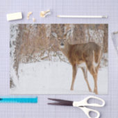 Button Buck Deer in Winter White Snowy Field Tissuepapier (Craft)