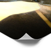 Button Buck Poster (Hoek)