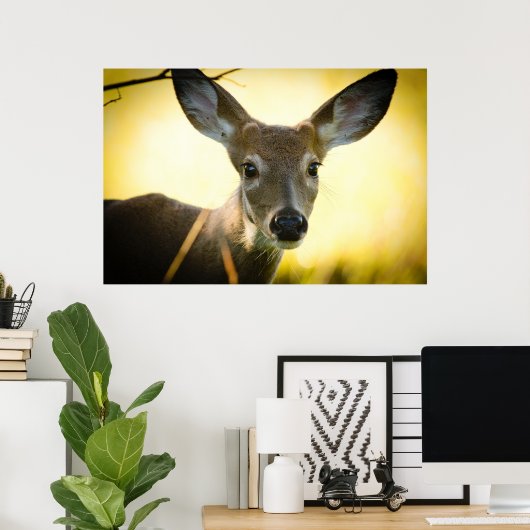 Button Buck Poster (Thuiskantoor)