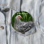 Button Chicken Whisperer (In situ)