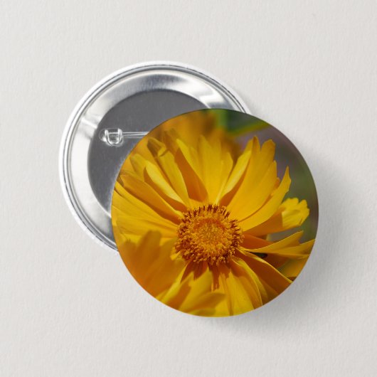 Button  Coreopsis Flowers (Voorkant /achterkant)