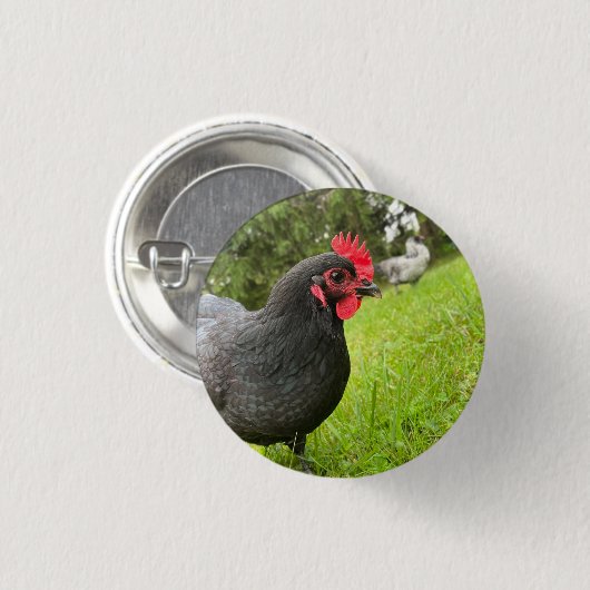 Button Cute Rooster (Voorkant /achterkant)