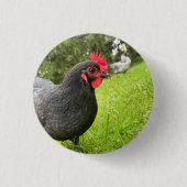 Button Cute Rooster (Voorkant)