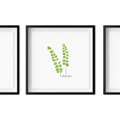 Button Fern Illustration | Serie Fern Poster