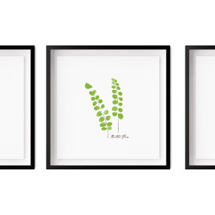 Button Fern Illustration Serie Fern Poster