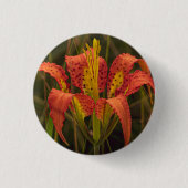 Button "Florida Lily" (Voorkant)